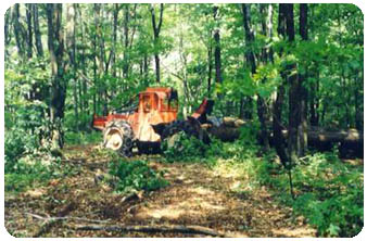 Skidder removing timber from woodland